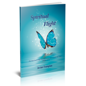 Spiritual Flight