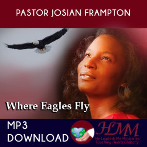Where Eagles Fly